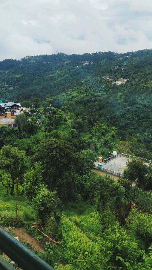 Nature View Villa Kasauli Kültér fotó